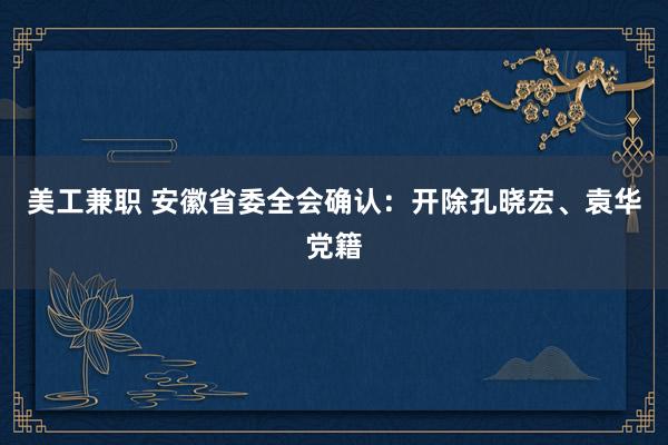 美工兼职 安徽省委全会确认：开除孔晓宏、袁华党籍